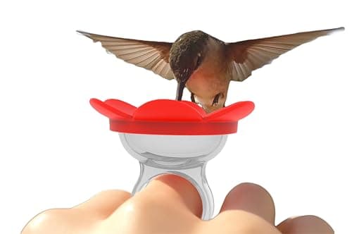 Hand-Held Hummingbird Ring Feeder