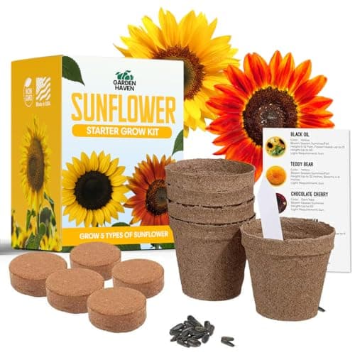 Sunflower Growing Kit