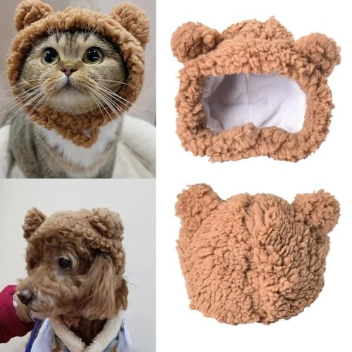 Lion Mane Pet Hat