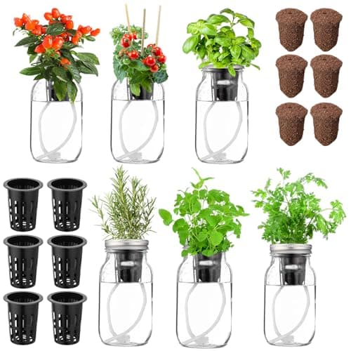 Mason Jar Hydroponic Herb Kit