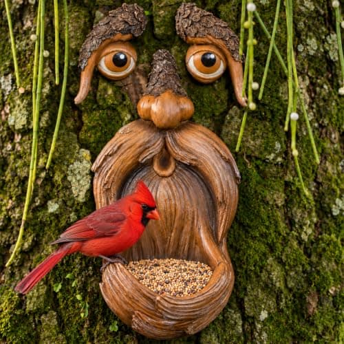 Bearded Tree Face That Feeds Birds