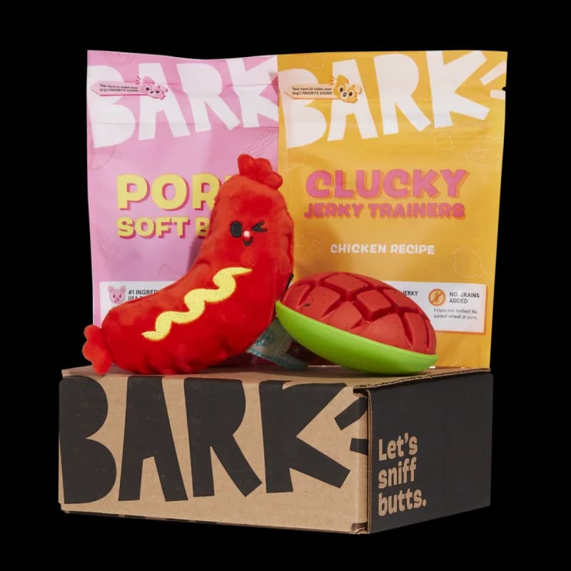 Dog Toys & Treats Gift Box