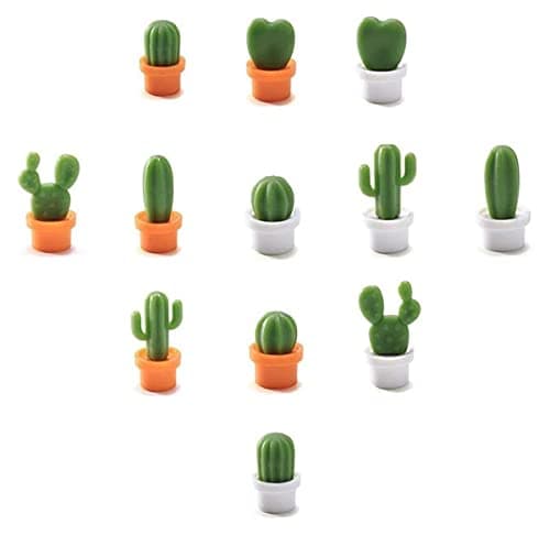Cactus Fridge Magnets