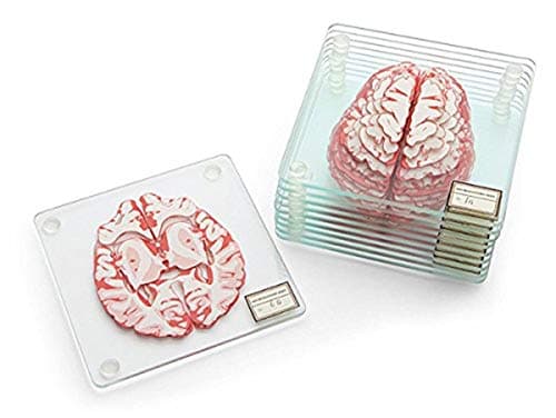 Brain Specimen Coaster Set