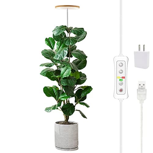 Bamboo Full-Spectrum Plant Light