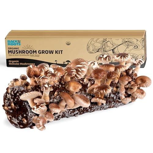 Organic Shiitake Mushroom Kit