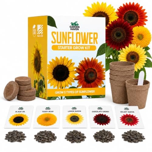 Five-Variety Sunflower Growing Kit